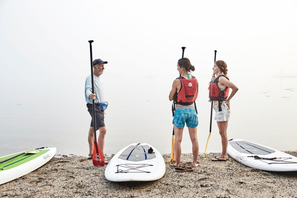 Portland, ME: Guided Harbor Paddleboard Tour - Common questions