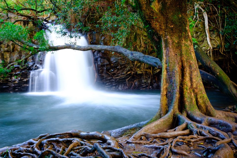 Private Iao Valley/Upcountry VIP Farm Tour- Full Day - Locations Visited