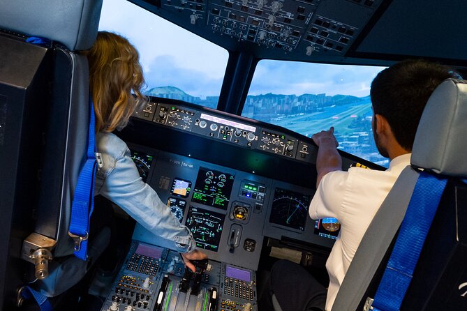 Private Pilotage of a Flight Simulator in Paris - Additional Information
