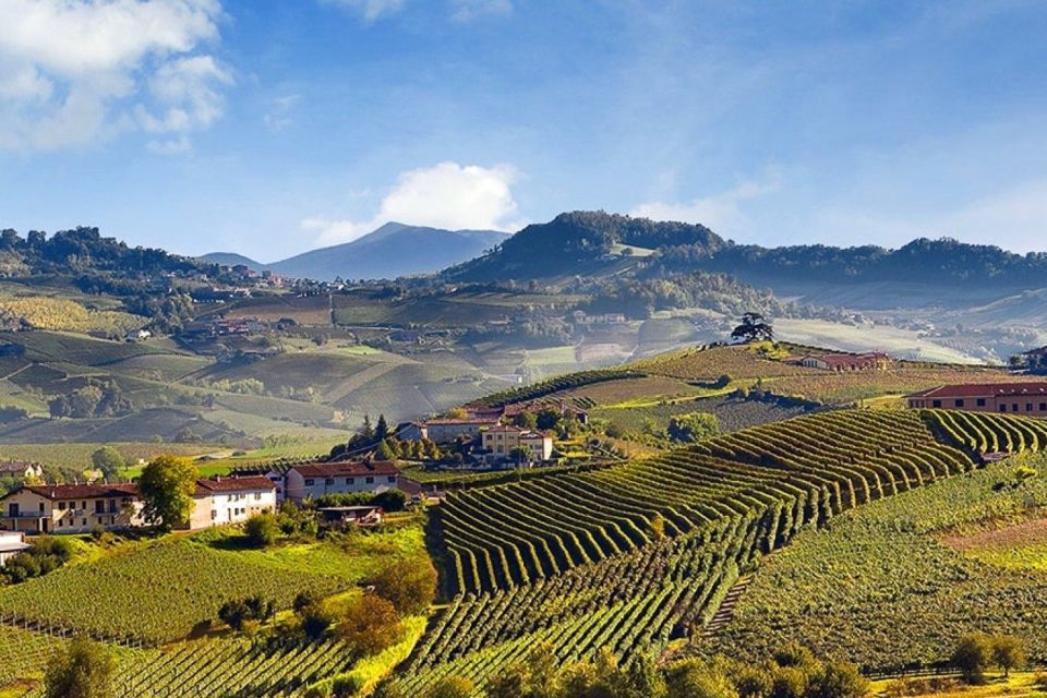 Private Tour: Barolo Wine Tasting in Langhe Area From Torino - Itinerary Overview
