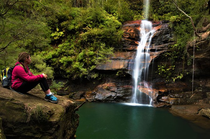Private Tour Blue Mountains Day Adventure Wildlife + River Cruise - Tour Inclusions and Details
