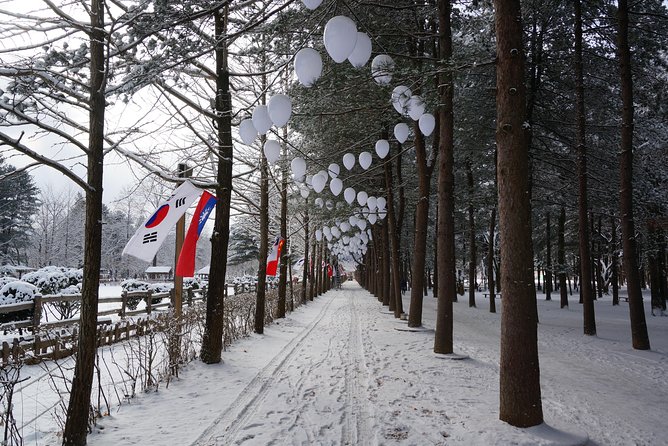 [Private Tour] Nami Island & Ski (Ski Lesson, Equip & Clothing Included) - Important Health Notes