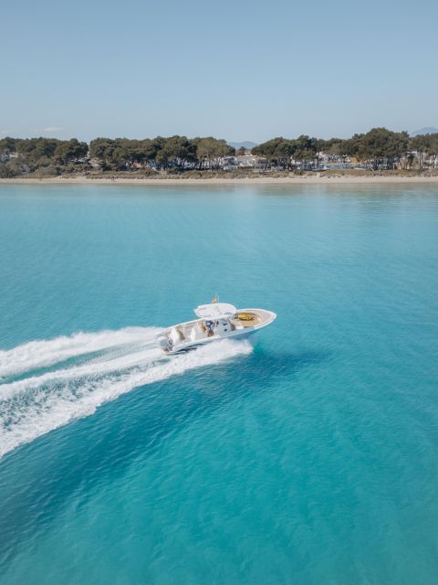 Pronautica 880 Open Sport Boat Rental With Skipper - Experience Highlights