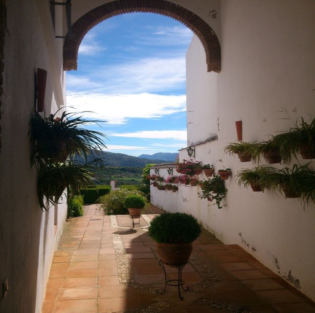 Pueblos Blancos & Ronda: Private Full-Day Tour From Seville - Inclusions