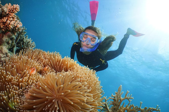 Quicksilver Great Barrier Reef Snorkel Cruise From Port Douglas - Reef Exploration and Discovery
