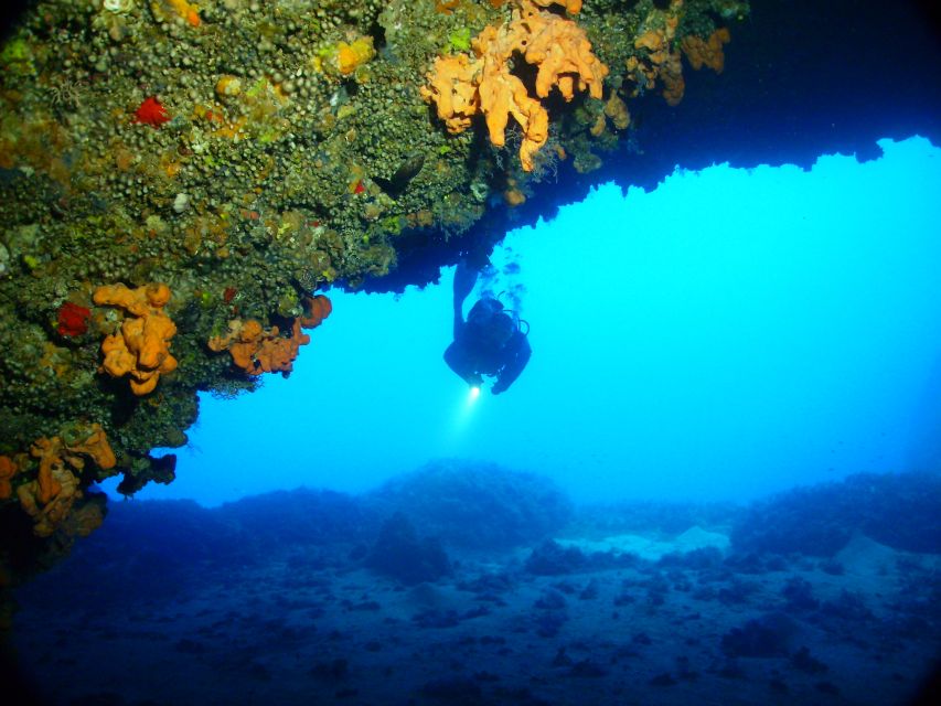 Rhodes: Diving Adventure for Beginners and Experts - Important Information