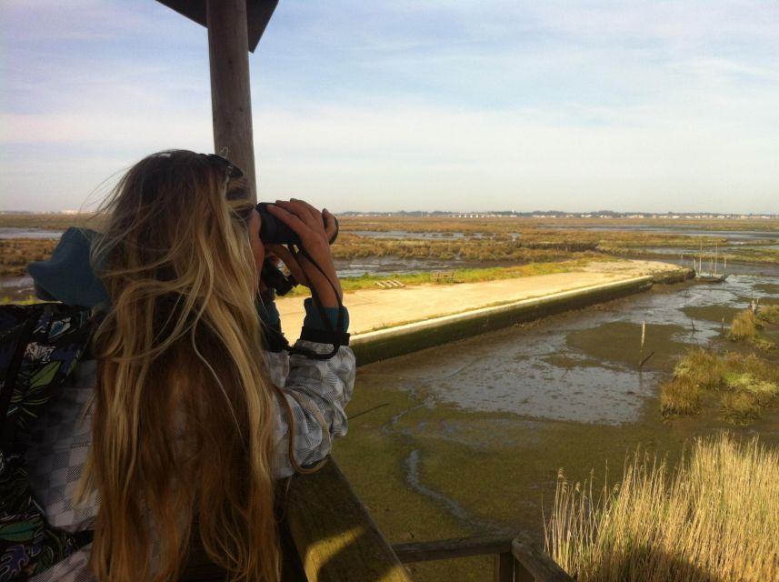 Ria De Aveiro: Birdwatching Tour (Full Day) - Inclusions