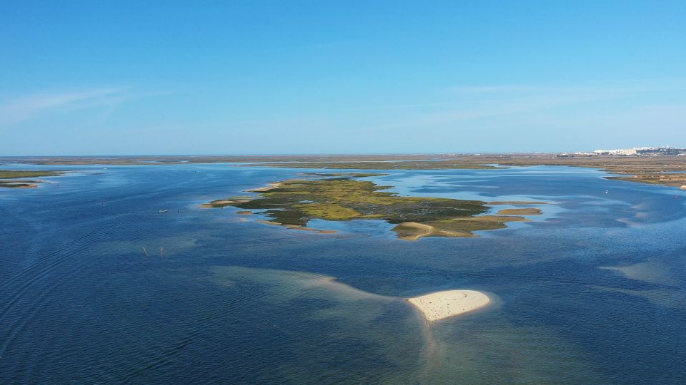 Ria Formosa: Armona and Culatra Islands Boat Tour - Experience Itinerary and Activities