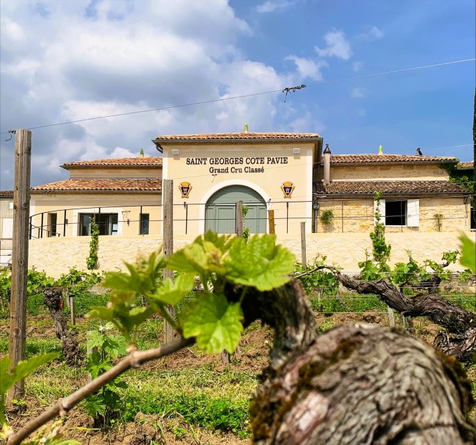 Saint-Émilion: Bordeaux Vineyard Tour and Wine Tasting - Uncovering the Wine-Making Process