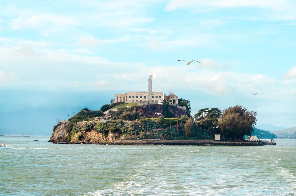 San Francisco: Hop-On Hop-Off Bus With Ferry & Alcatraz Tour - Customer Reviews