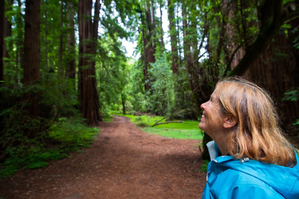 San Francisco: Morning Muir Woods & Sausalito Tour W/ Ferry - Traveler Reviews