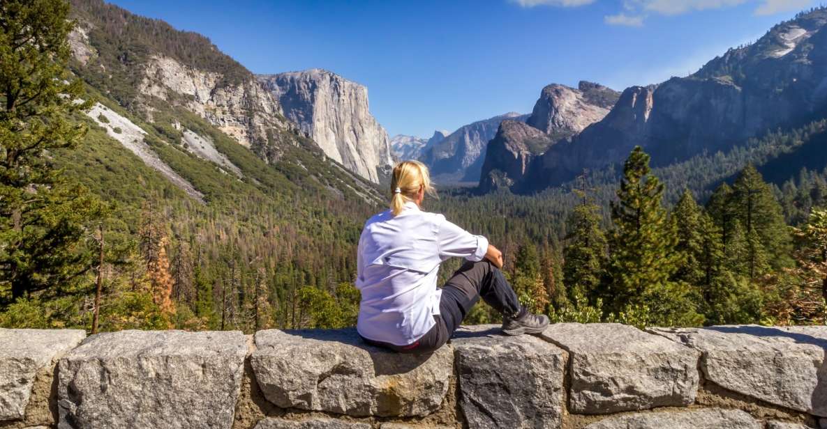 San Francisco To/From Yosemite National Park: 1-Way Transfer - Customer Reviews and Testimonials