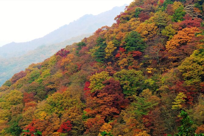 Scenic Jiri Mountain Autumn Foliage One Day Tour - What to Expect on the Tour