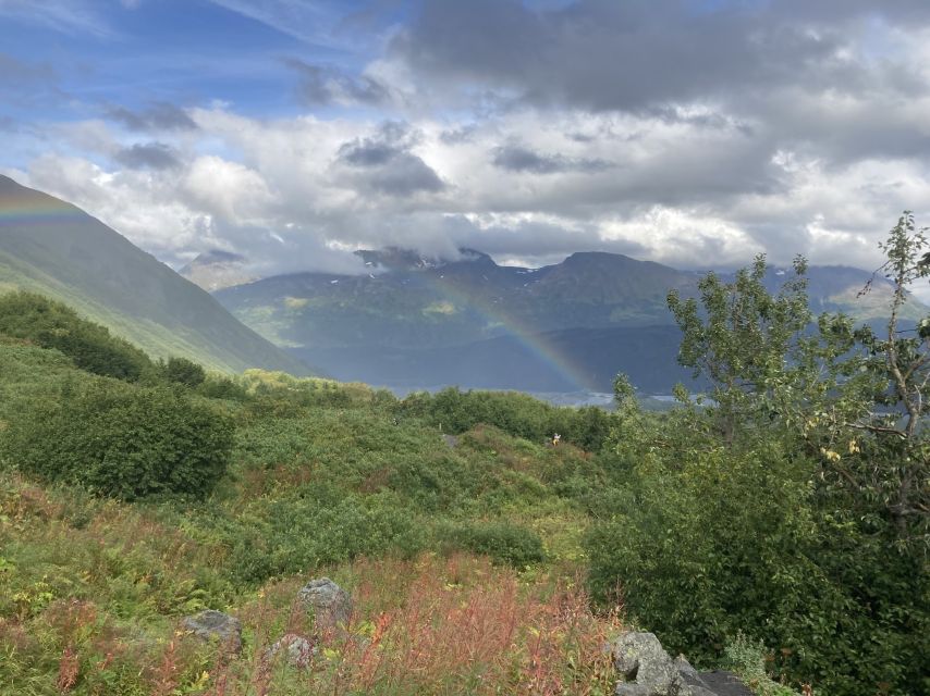 Seward: Guided Wilderness Hike With Transfer - Important Information