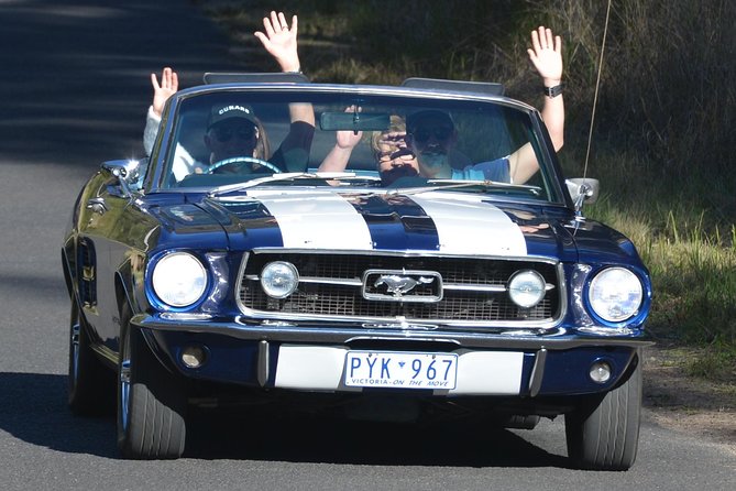 Six-Bridges-of-Sydney-Vintage-Car-Ride-Experience - What to Expect on Tour