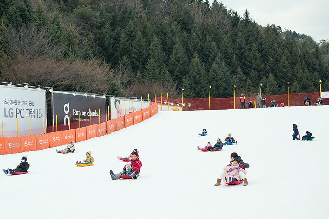 Snow or Ski Day Trip to Elysian Ski Resort From Seoul - No Shopping - What to Expect on Tour