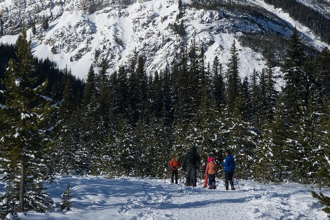 Snowshoeing in Kananaskis - Maximum Traveler Capacity Information