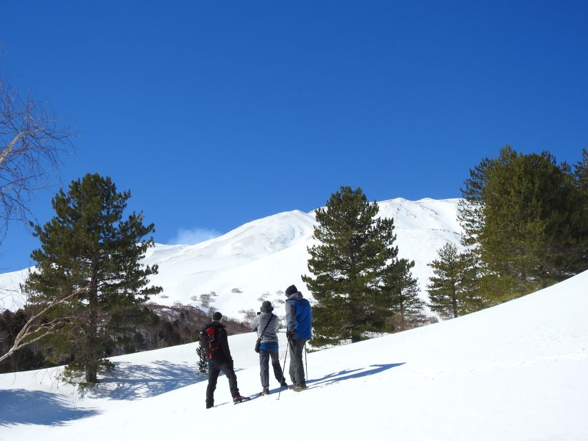 Taormina and Catania: Private Etna Exploration and Cave Tour - Important Information