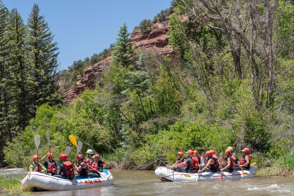 Telluride Whitewater Rafting - Afternoon Half Day - Important Information