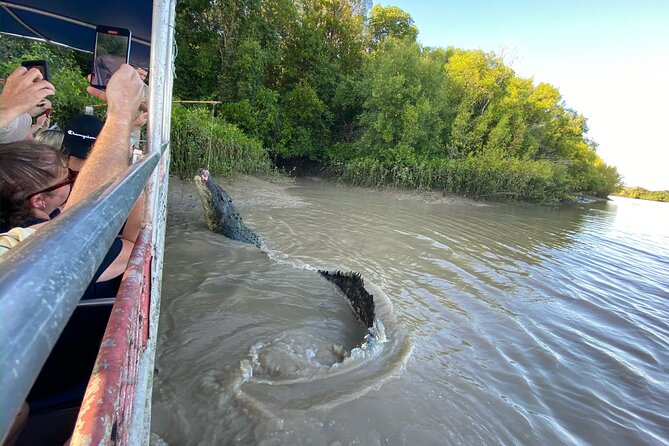 The Croc Bus to the Famous Jumping Crocodile Cruise - Wildlife and Bird Watching