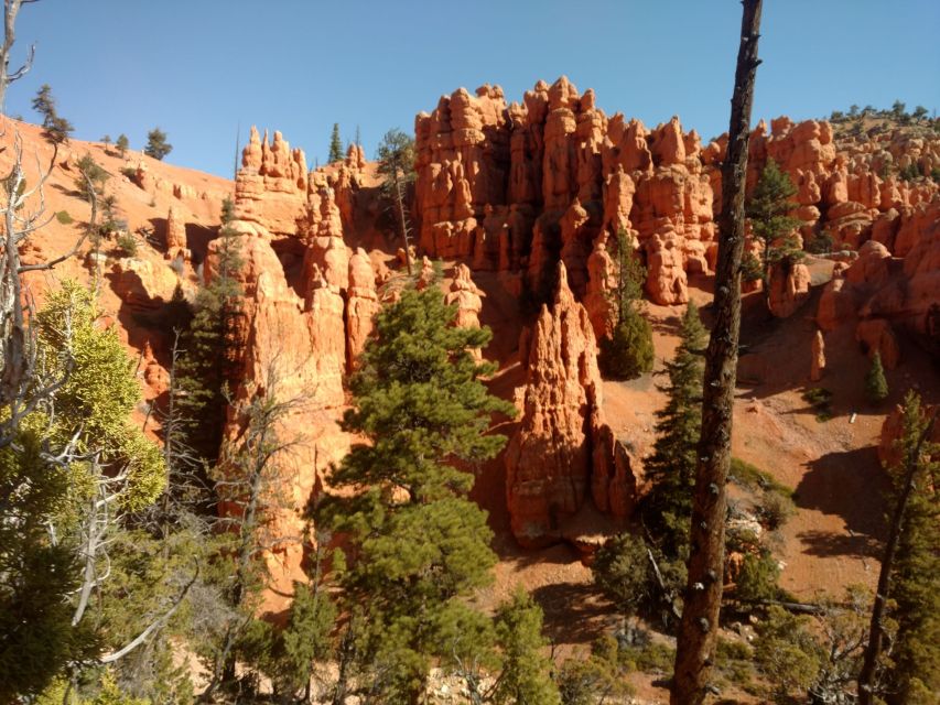 Thunder Mountain Trail: Scenic Horseback Ride - Activity Experience and Uniqueness