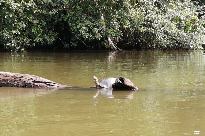 Tour to the Canals in Tortuguero National Park - Final Words