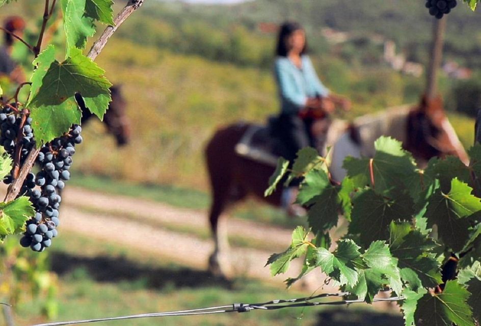 Tuscany: Horseback Riding Adventure With Lunch in a Winery - Meeting Point