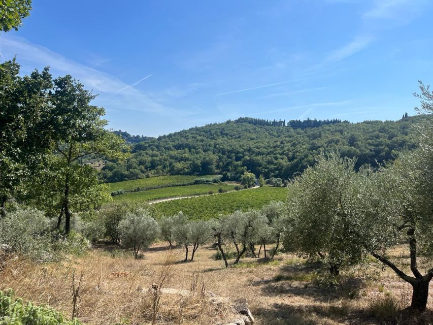 TUSCANY: WINE TASTING IN THE HEART OF CHIANTI CLASSICO - Meeting Point Logistics