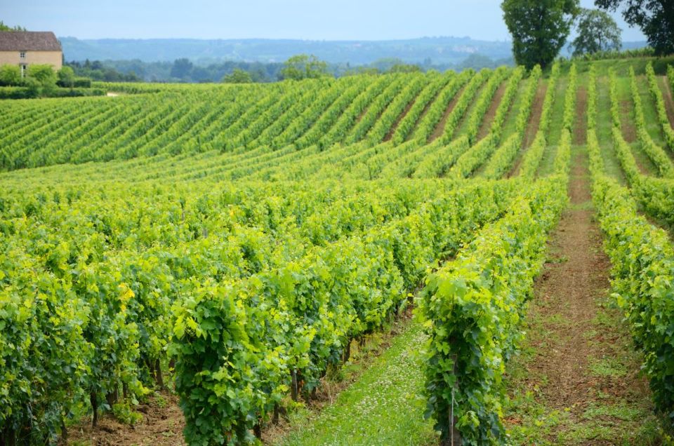 UNESCO Heritage and Wine Delights Private Tour From Bordeaux - Destination Insights