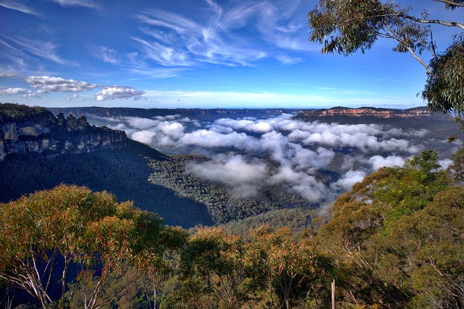 Unforgettable Blue Mountains Day Tour - Afternoon Adventure Awaits