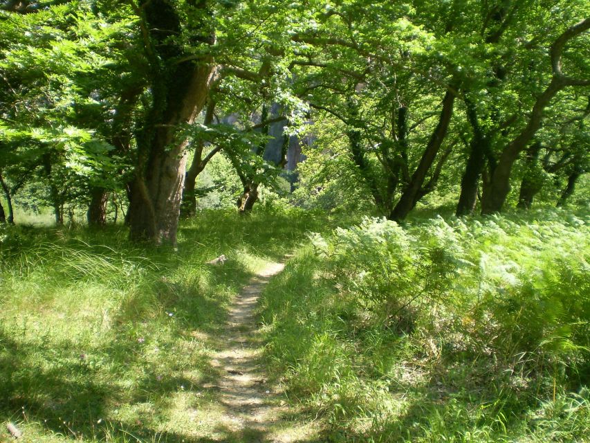 Vikos Gorge Aristi to Klidonia Bridge 3-Hour Hike - Language Options