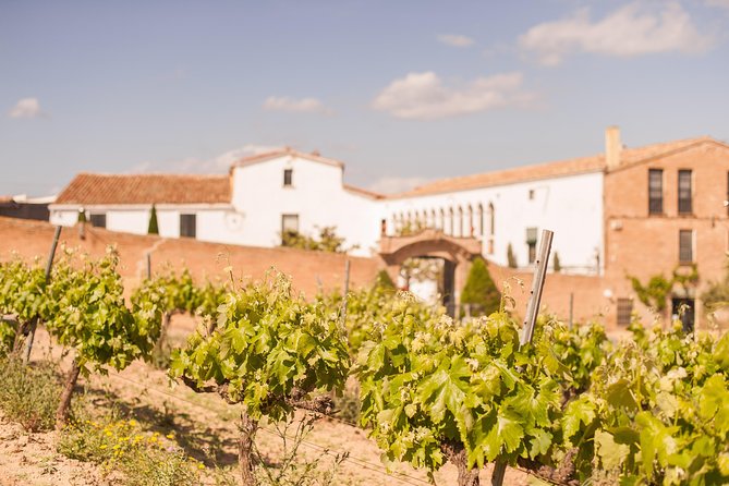 Wine, Tapas & Cava Private Tour From Barcelona - Transportation Details