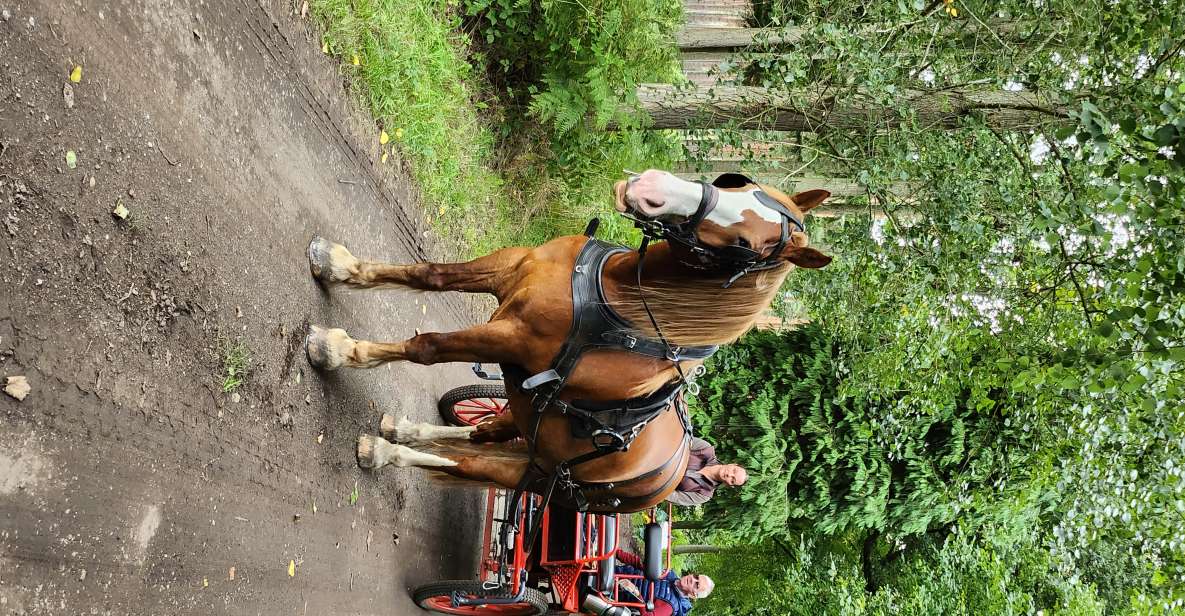 York: Horse Drawn Carriage Ride Around the Countryside York - Important Information