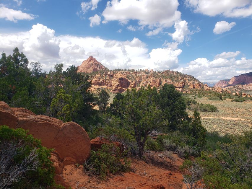 Zion National Park - Kolob Terrace: 1/2 Day Sightseeing Tour - Itinerary Overview