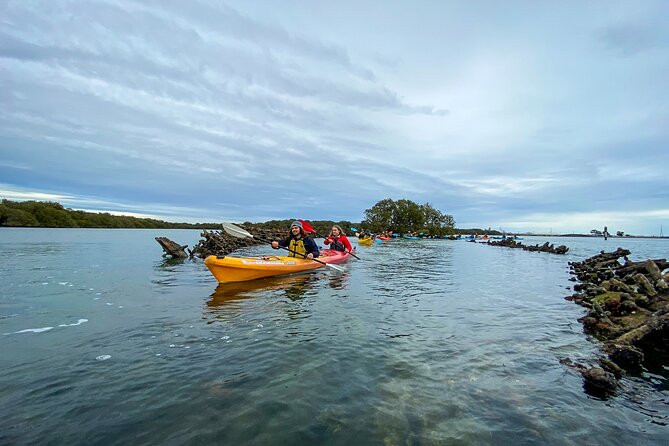 Adelaide Dolphin Sanctuary and Ships Graveyard Kayak Tour - Kayaking and Safety Essentials