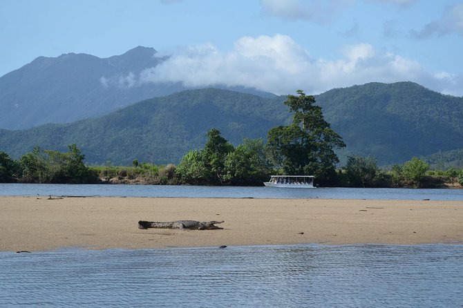 Afternoon Tour Mossman Gorge & Daintree River From Port Douglas - Cancellation and Refund Policy