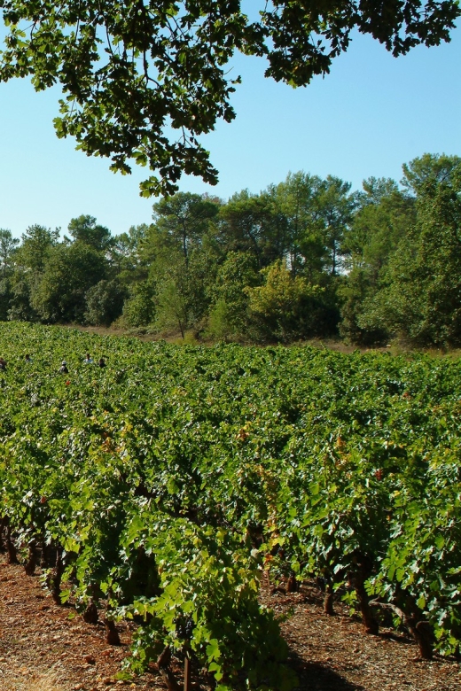 Aix-En-Provence: Half Day Wine Tour in Coteaux Daix - Directions