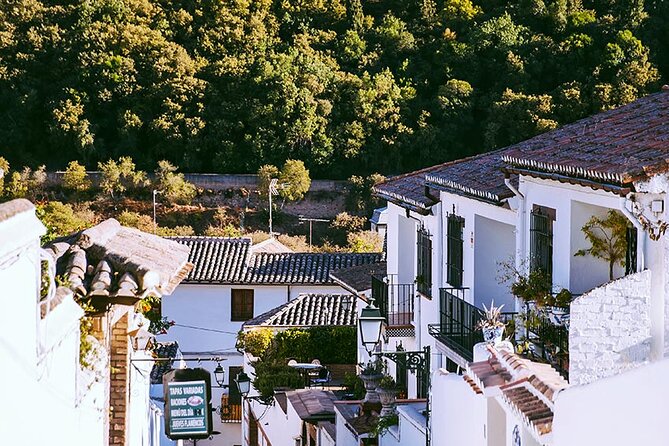 Albayzin and Sacromonte Guided Walking Tour in Granada - Final Words