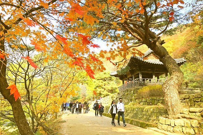 Autumn 8 Days South Korea Tour Including Jeonju,Damyang,Mt.Naejangsan - Important Travel Information