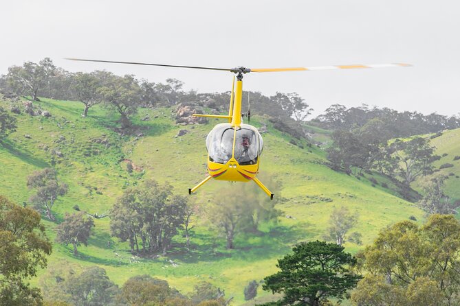 Barossa Valley Deluxe: 30-Minute Helicopter Flight - What to Expect Onboard