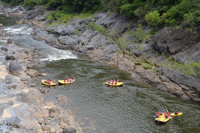 Barron River Half-Day White Water Rafting From Cairns - Reviews and Ratings Summary
