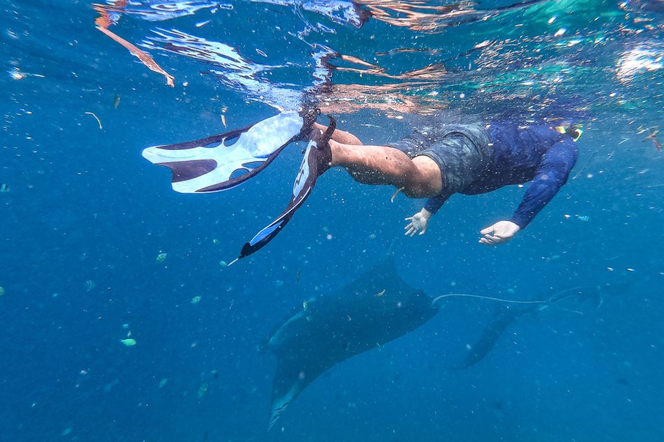 Big Island: Snorkel With Manta Rays - Manta Guarantee - Common questions