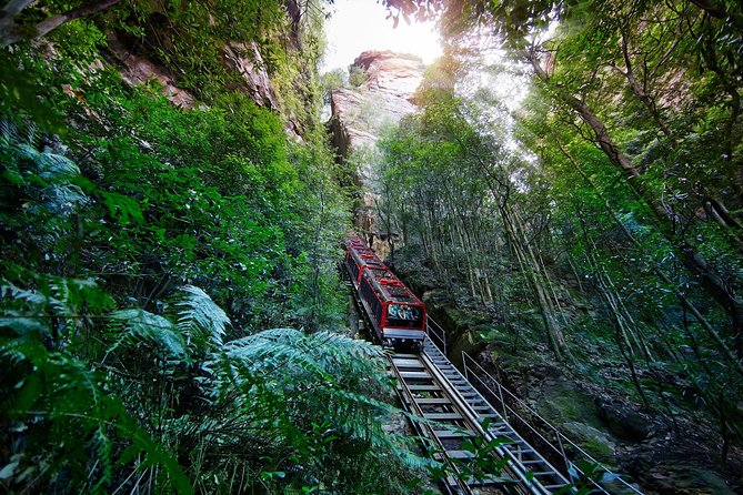 Blue Mountains Small-Group Tour From Sydney With Scenic World,Sydney Zoo & Ferry - Ferry Ride and Return Journey