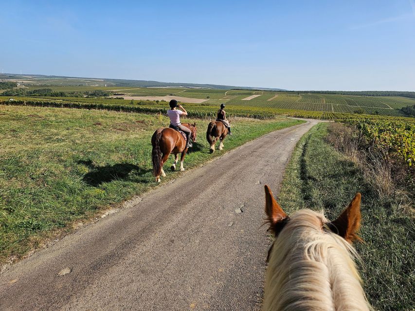 Burgundy : Horse Riding Tour in Chablis - Planning Your Horseback Adventure