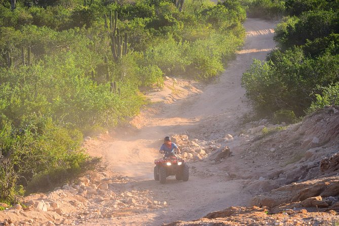 Cabo Original Real Baja 1000 Tour (Single ATV) - Safety Equipment Provided