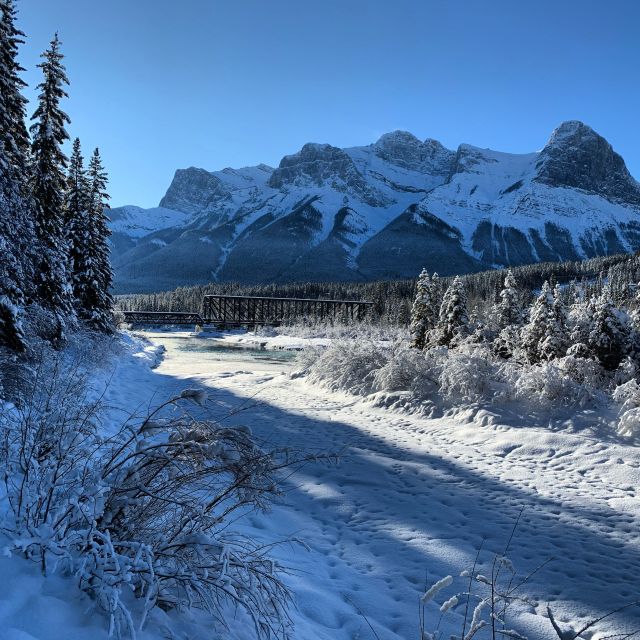 Canmore: Cowboys and Coal Miners - 1.5hr History Tour - Customer Reviews