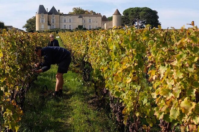 Castel Wine Tour in Bordeaux Margaux - Customer Reviews