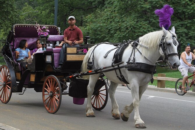 Central Park and NYC Horse Carriage Ride OFFICIAL ( ELITE Private) Since 1970 - Customer Feedback