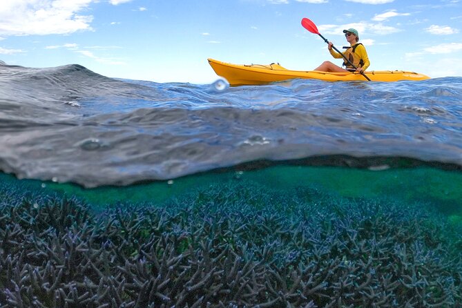 Coral By Kayak - Ningaloo Reef Half Day Kayak & Snorkel Tour - Cancellation and Refund Policy