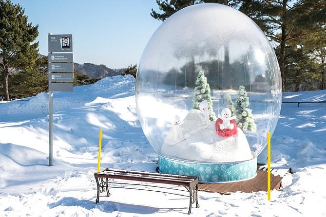 Daemyung Vivaldi Park Resort 2D 1N + Hwacheon Ice-Fishing Festival - Cancellation and Refund Policy